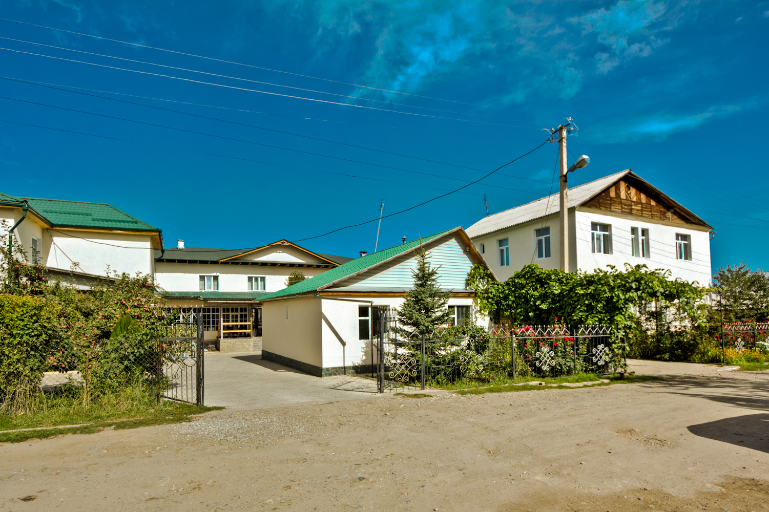 Green Yard
