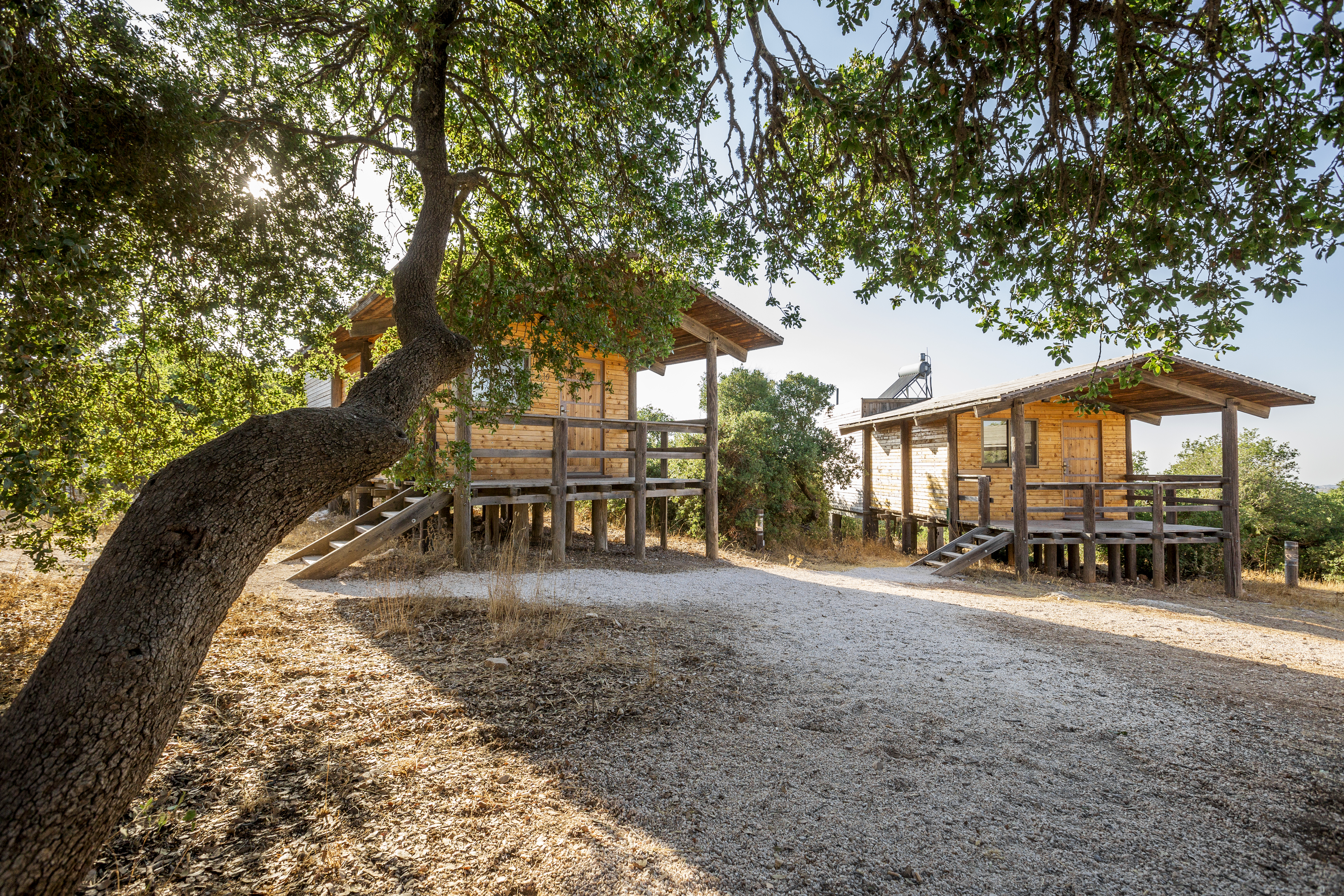 Ajloun Forest Reserve Cabins