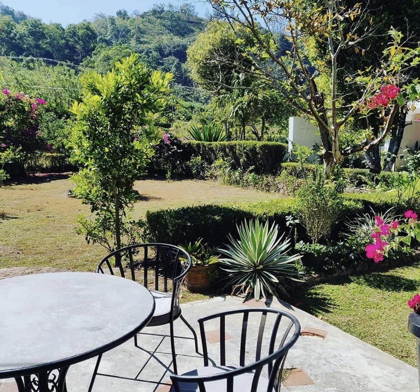 Amba Estate