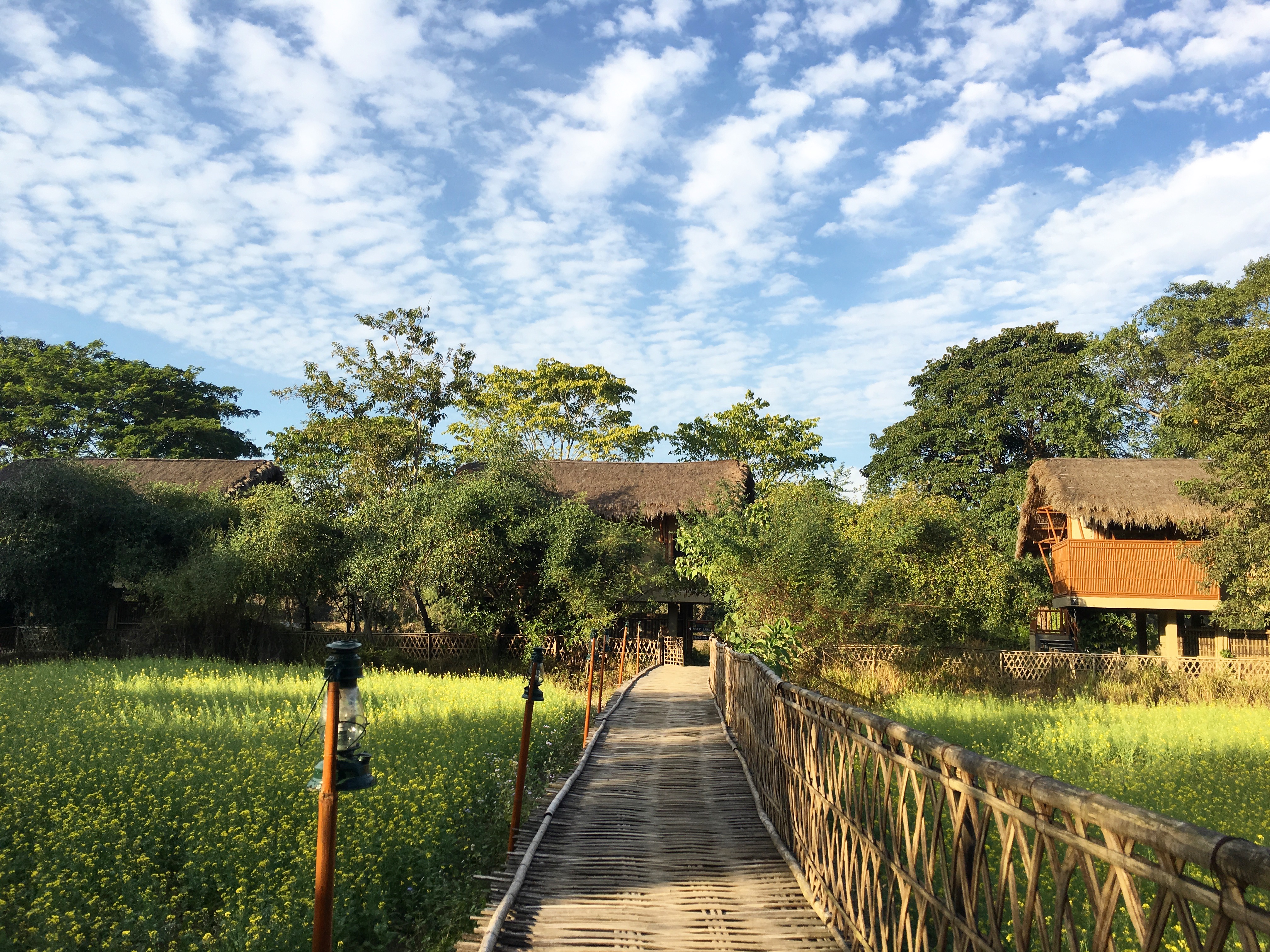 Diphlu River Lodge