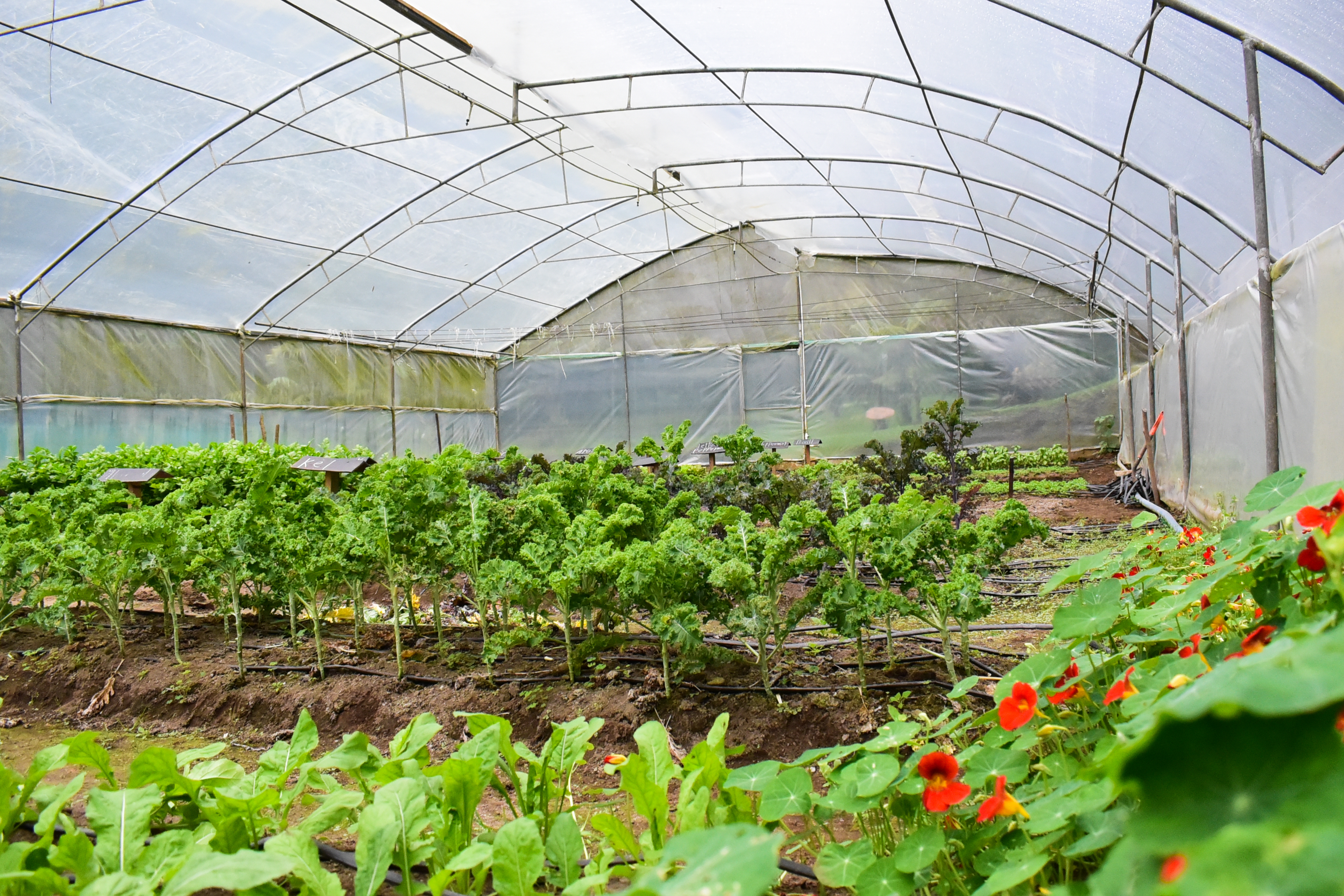 El Silencio