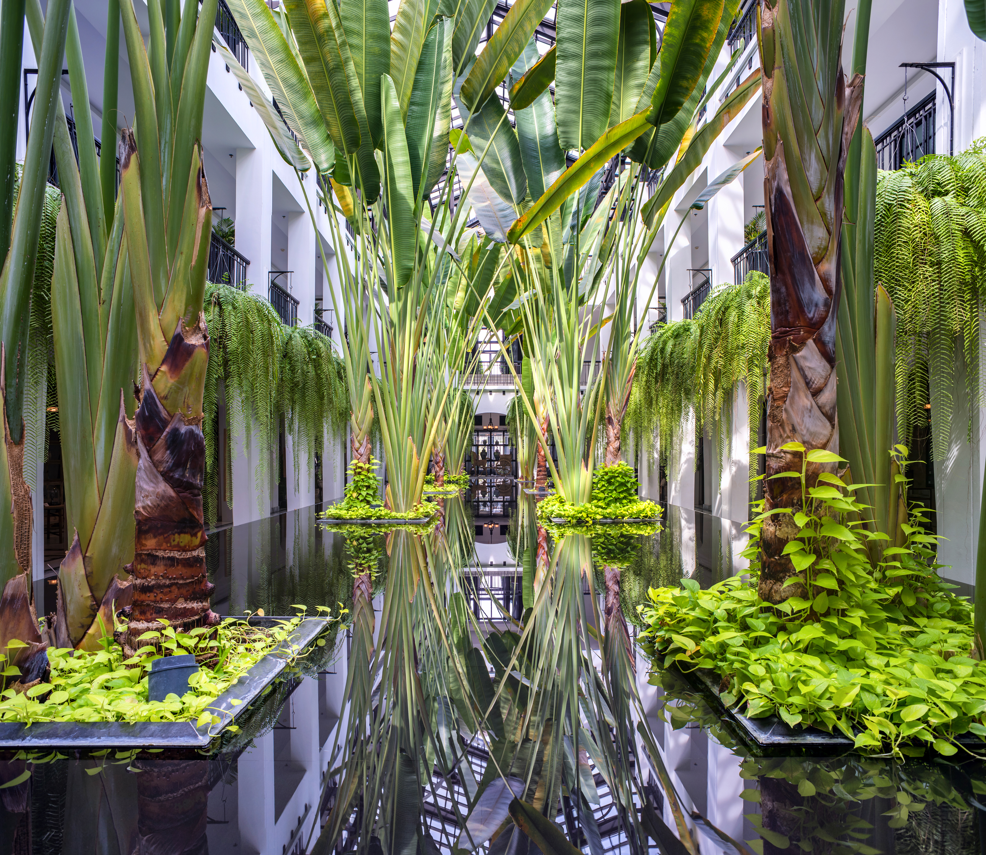 The Siam