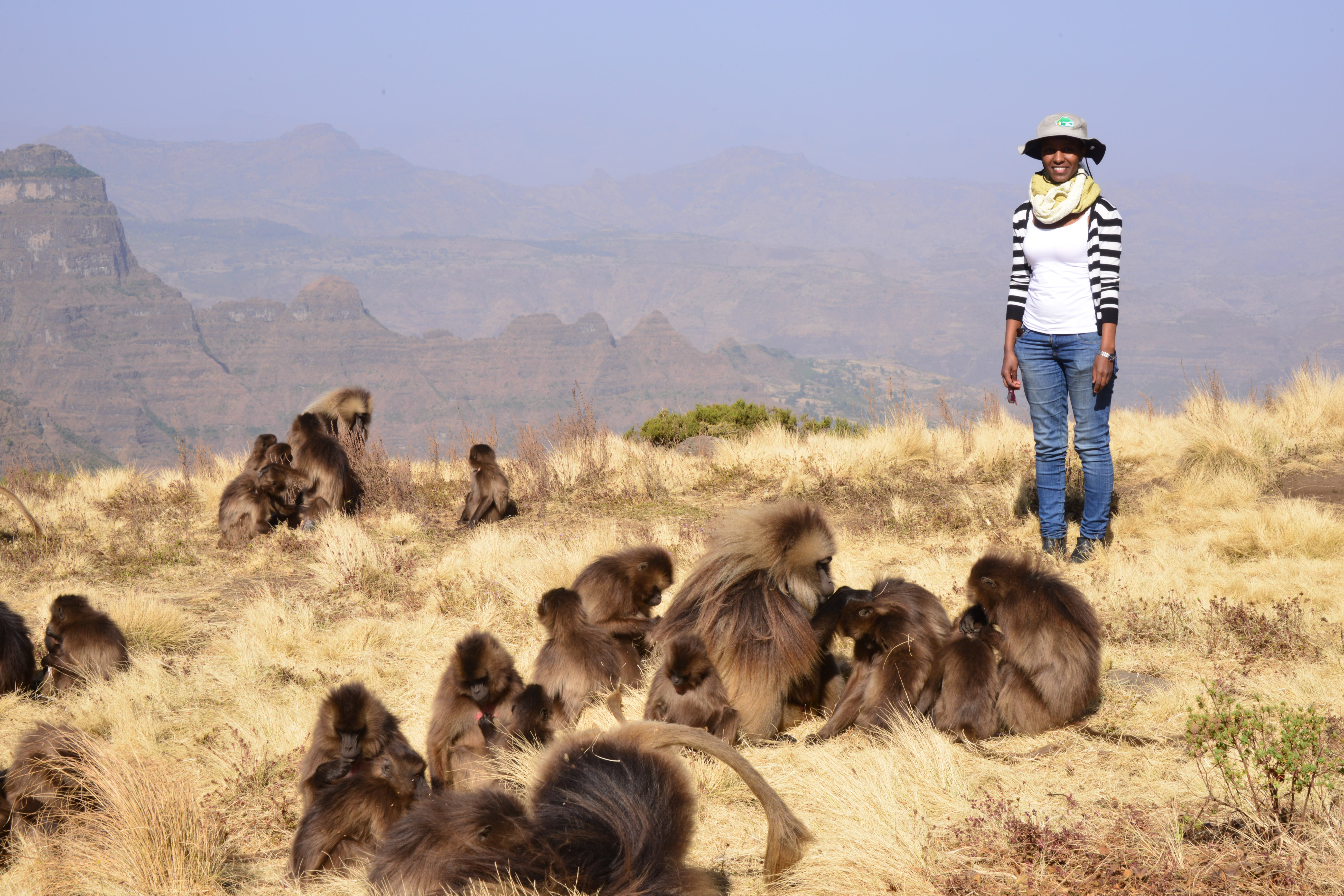 Simien Lodge