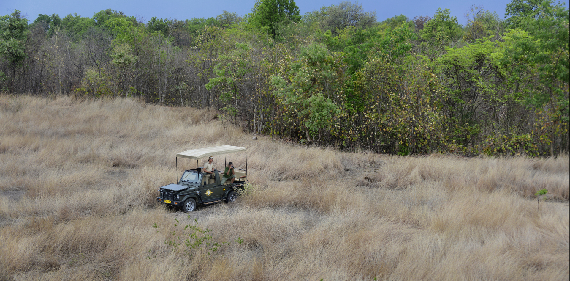 Pench Tree Lodge