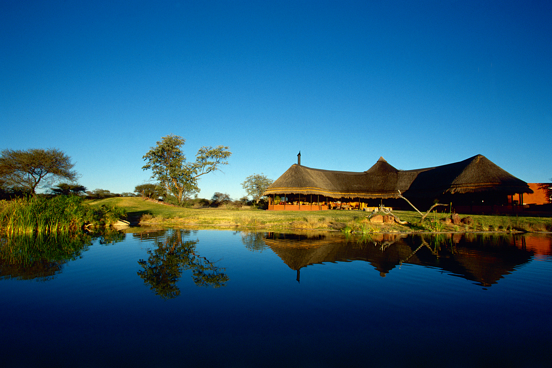 Okonjima Bush Camp