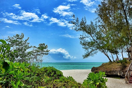 Pongwe Beach Lodge